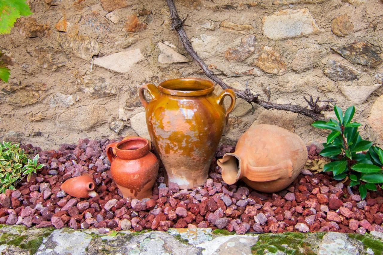 La Casita De Las Hortensias Ortigosa del Monte Extérieur photo