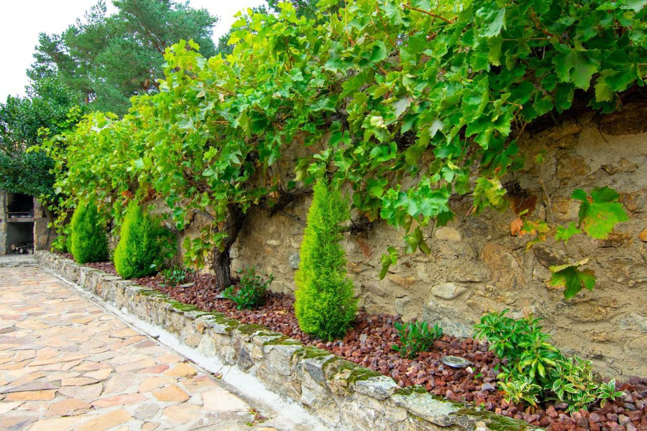 La Casita De Las Hortensias Ortigosa del Monte Extérieur photo